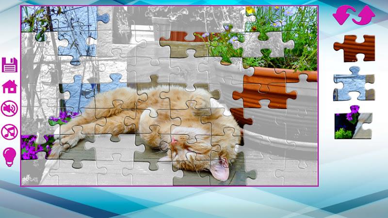 Big puzzles with cats ekran görüntüsü 3