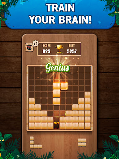 Wooden 100 Block Puzzle Game captura de pantalla 