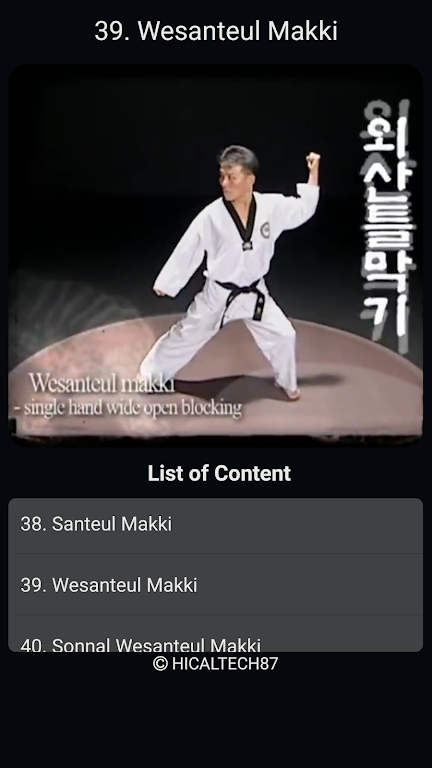 Taekwondo Basic Motions screenshot 4