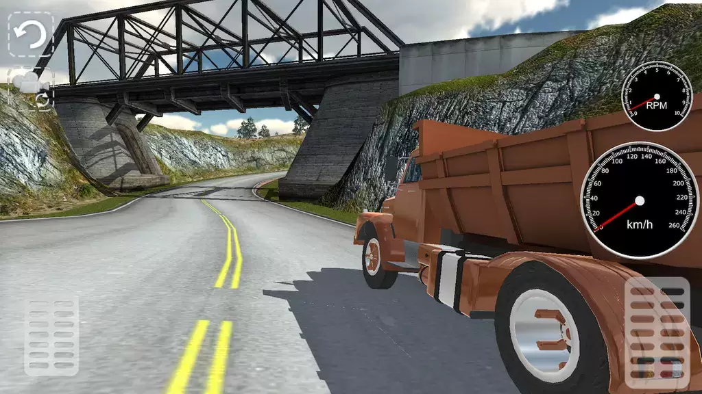 Truck Simulator Grand Scania screenshot 4