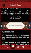 The Holy Quran and its Meaning zrzut ekranu 4