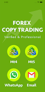 Screenshot Forex copy trading Forex Auto 1