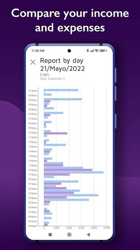 Daily Expenses 4 ဖန်သားပြင်ဓာတ်ပုံ 2