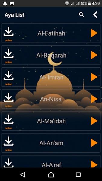 Screenshot Holy Quran Online 2