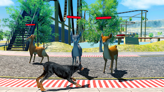 Doberman Dog Simulator ဖန်သားပြင်ဓာတ်ပုံ 2