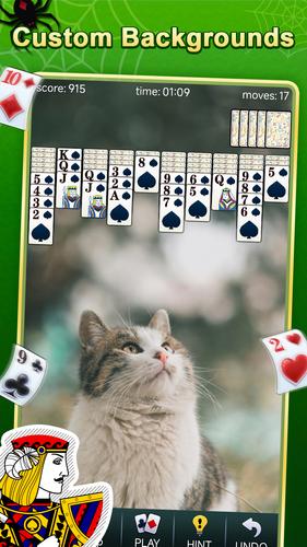 Spider Solitaire Screenshot 3