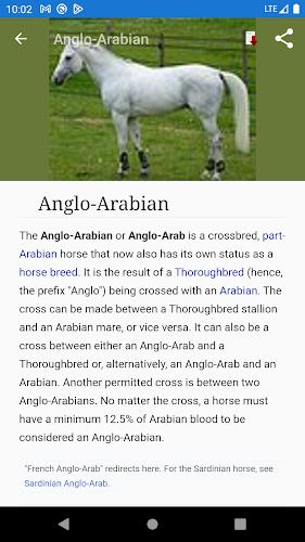 Horse breeds - Photos Screenshot 2