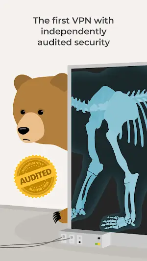 TunnelBear VPN ekran görüntüsü 4