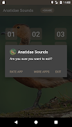 Anatidae Sound ảnh chụp màn hình 3