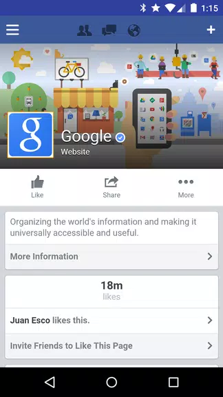Tinfoil for Facebook Screenshot 1