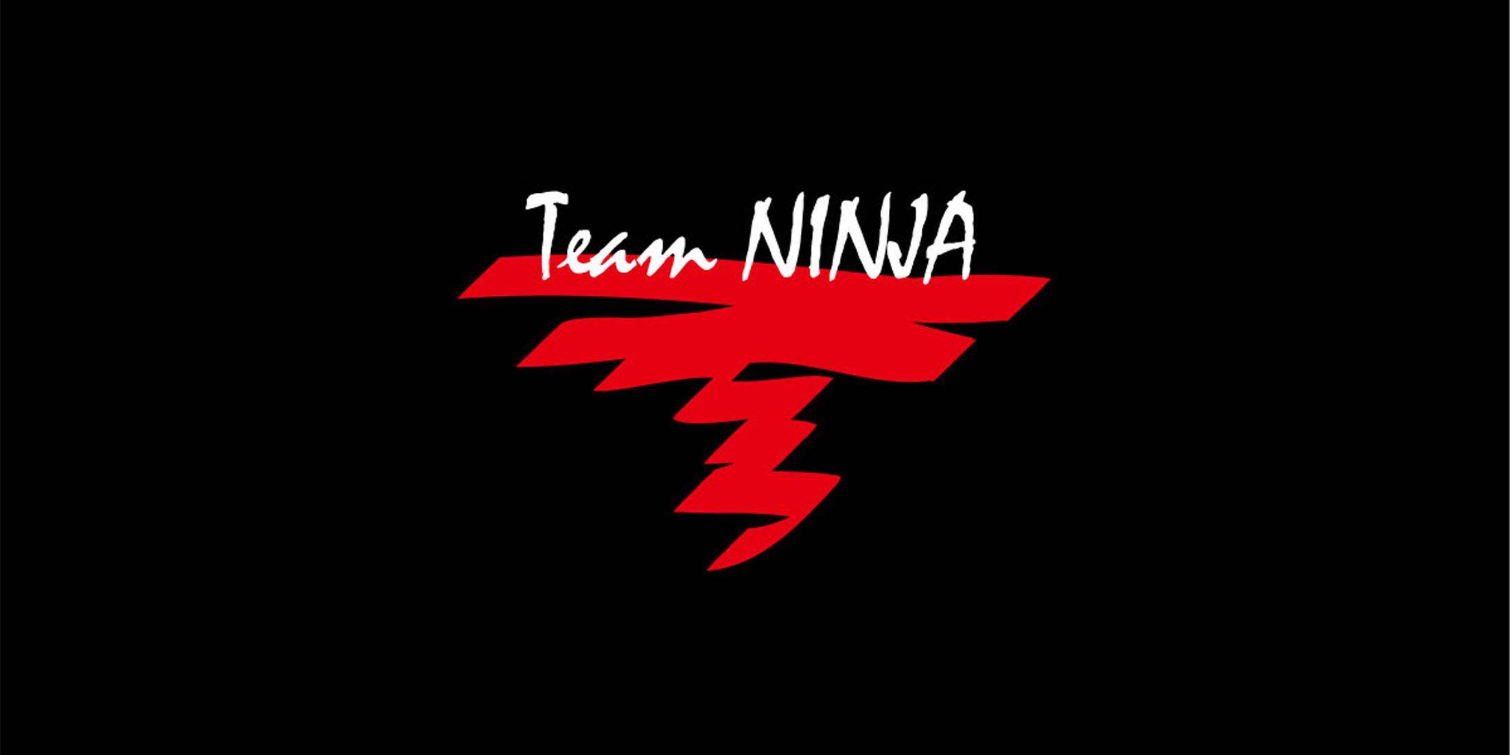 Team Ninja taquine les plans du 30e anniversaire