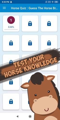 Screenshot Guess the horse breed 2