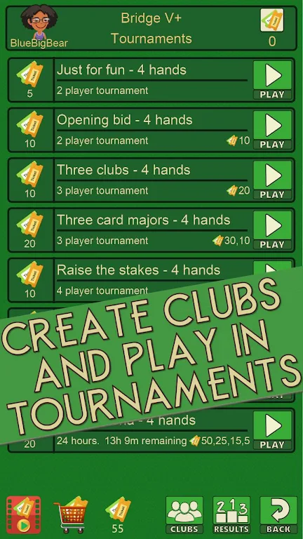 Bridge V+ fun bridge card game captura de pantalla 