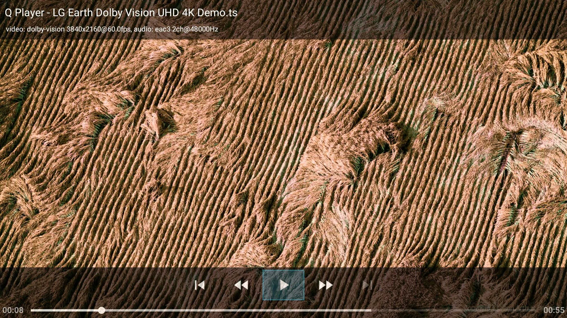 Screenshot Q+ Player, UPnP DLNA DMR Geek 4
