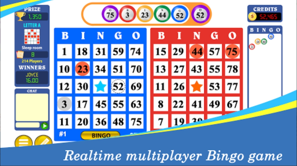 Bingo Classic™ Fun Bingo Game ekran görüntüsü 1