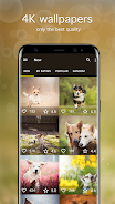 Dog Wallpapers & Puppy 4K ảnh chụp màn hình 2