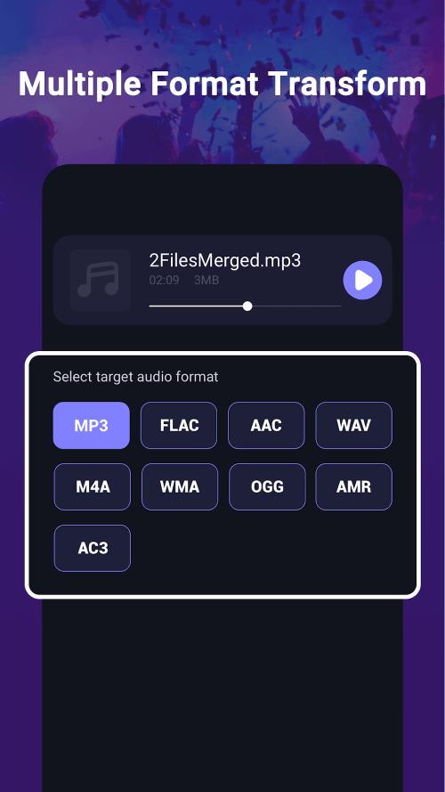 MP3 Convert应用截图第4张