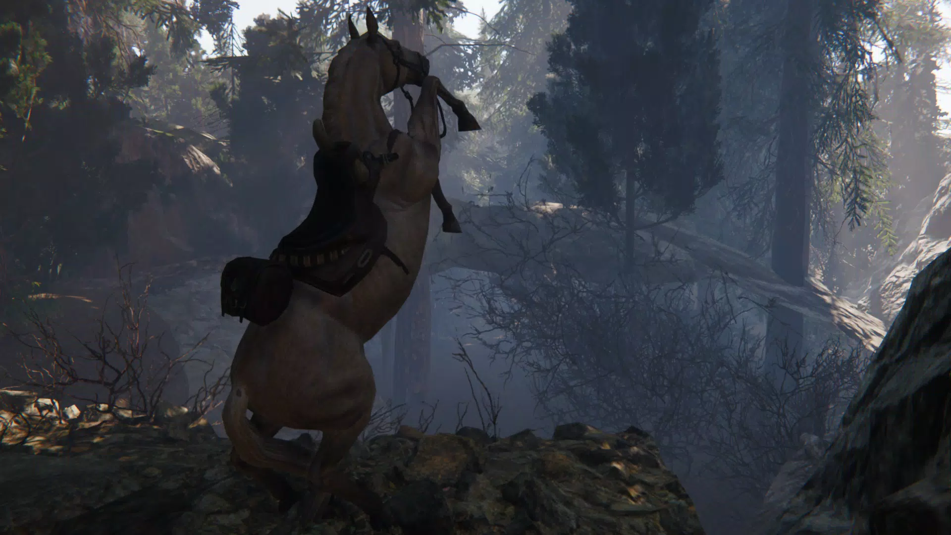 Spirit Horse: Woodland Trails স্ক্রিনশট 4