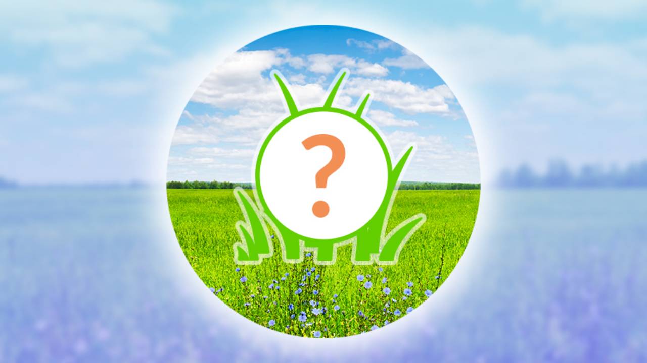 Pokémon Go's Next Spotlight Hour: ธันวาคม 2024