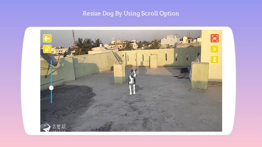 Dog play Ar screenshot 3