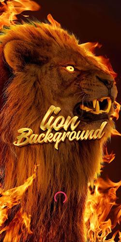 lion background экрана 1