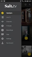 Salt TV ảnh chụp màn hình 1