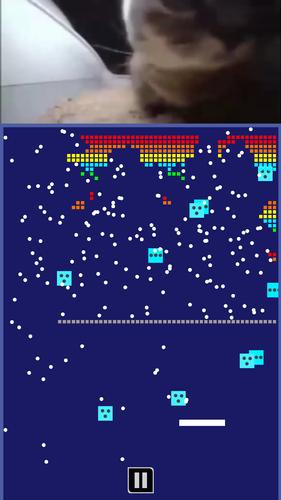 Chipi Chapa: Brick Breaker captura de pantalla 