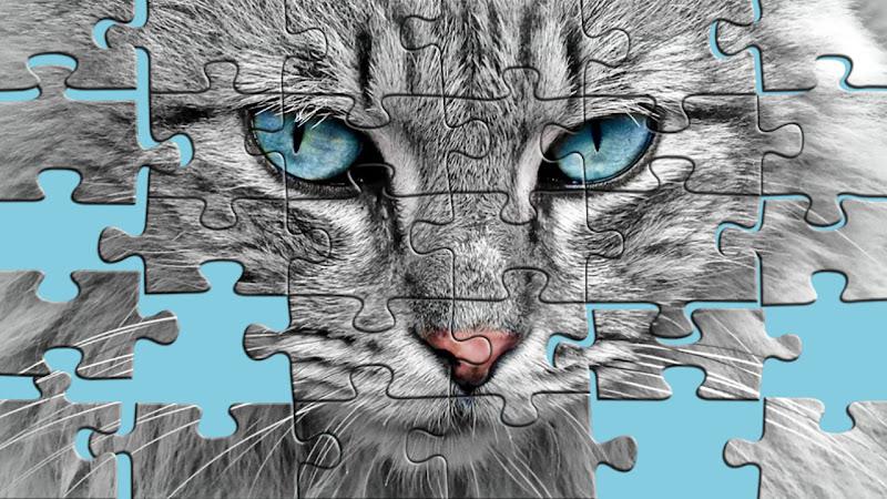 Big puzzles with cats screenshot 1