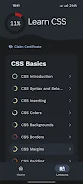 Learn CSS captura de pantalla 