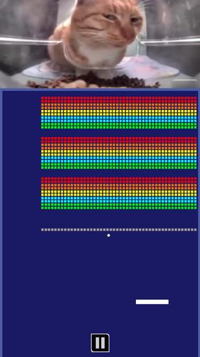Chipi Chapa: Brick Breaker captura de pantalla 