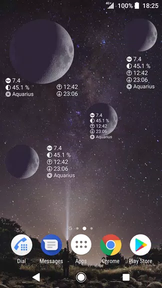 Simple Moon Phase Calendar экрана 4