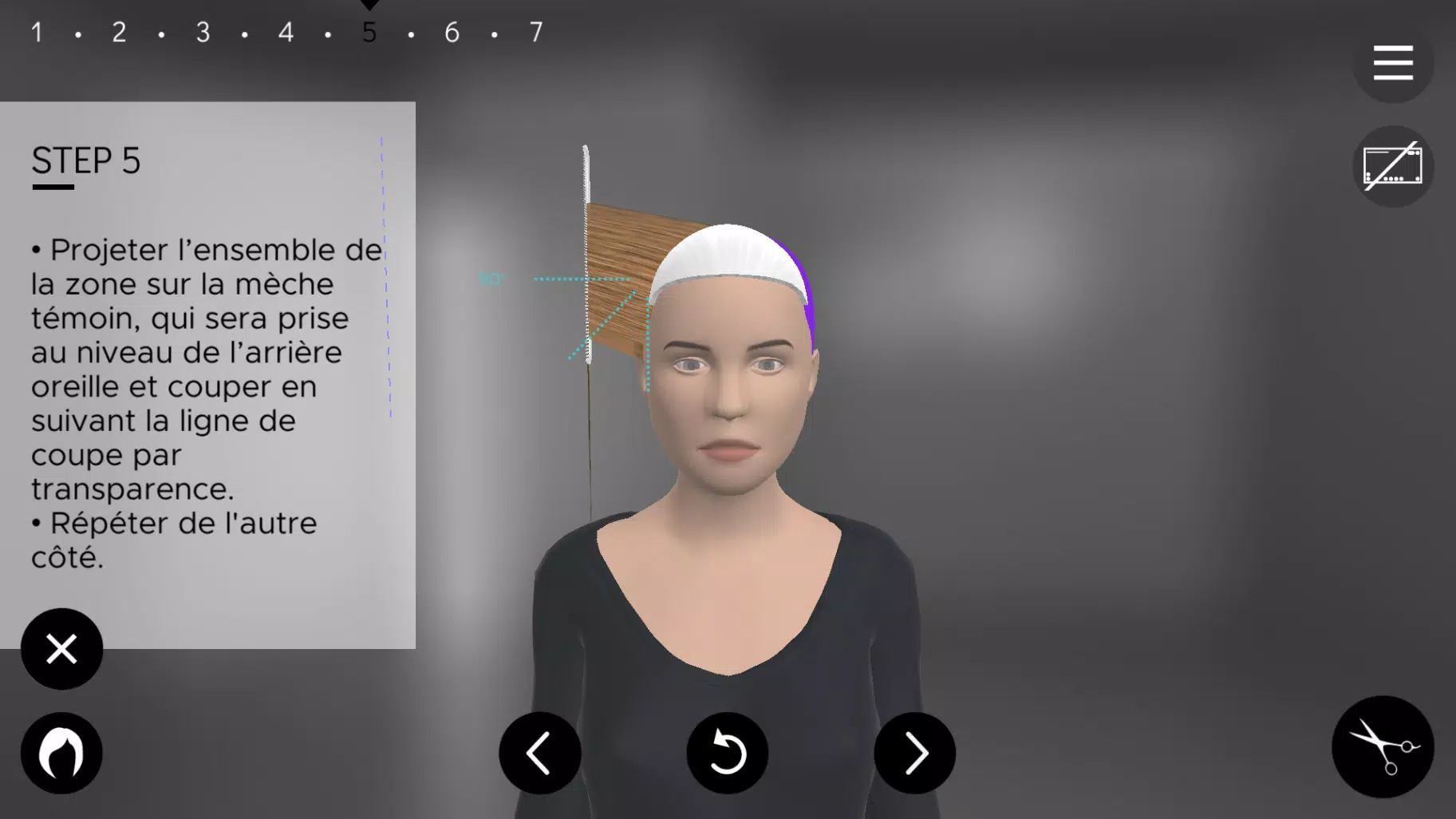 Hairteach Screenshot 2