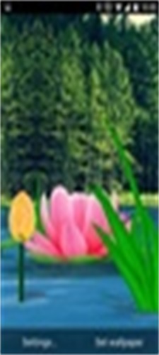 Flower Live Wallpaper 3D screenshot 2