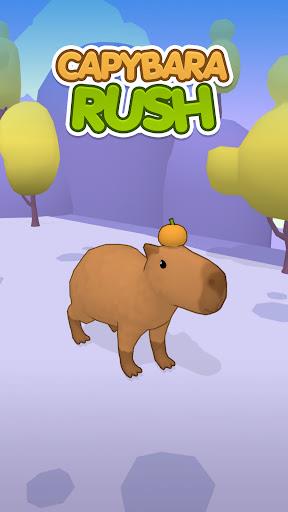 Capybara Rush स्क्रीनशॉट 1