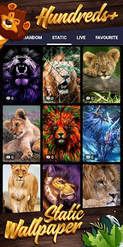 lion background ဖန်သားပြင်ဓာတ်ပုံ 4