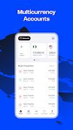 Wirepay - Global Payments screenshot 1