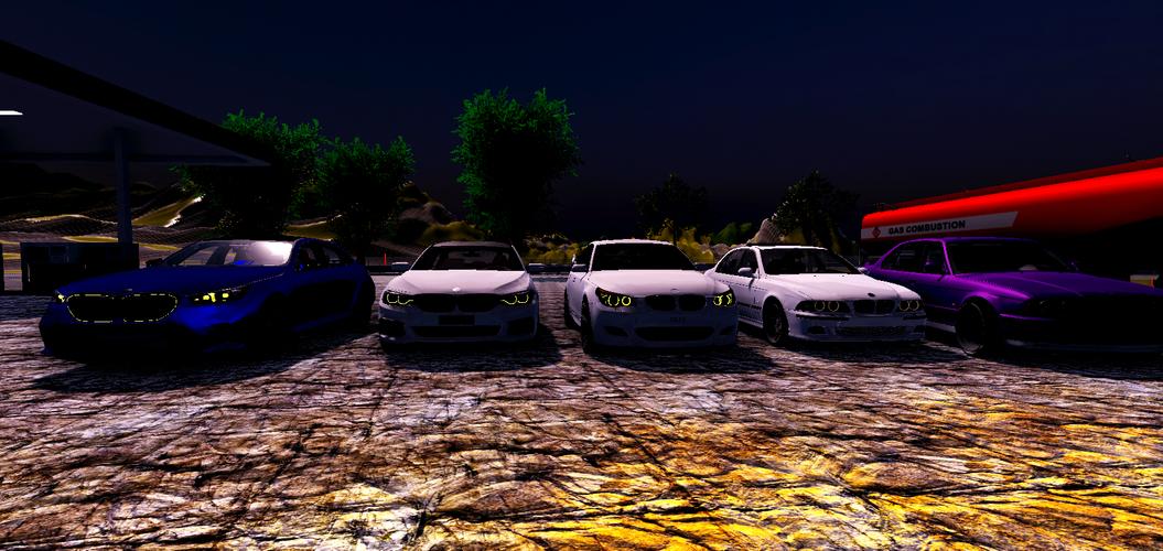 Driving Simulator BMW ဖန်သားပြင်ဓာတ်ပုံ 1