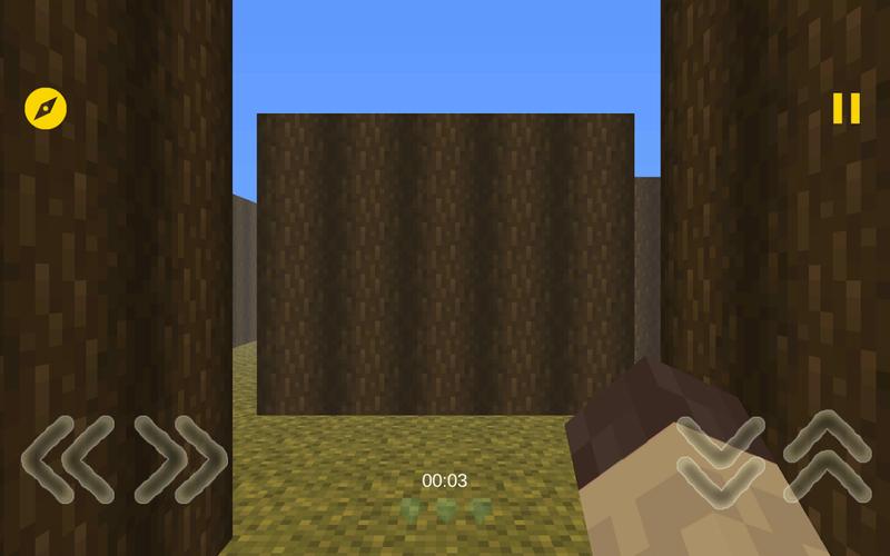 Mine Maze 3D Screenshot 1