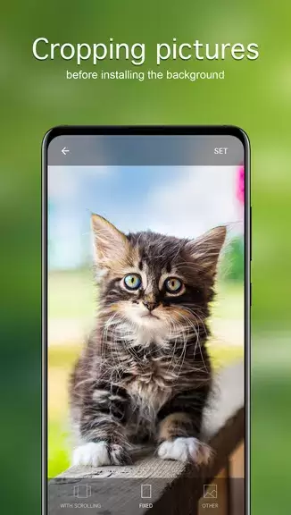 Fondos de pantalla con gatos captura de pantalla 