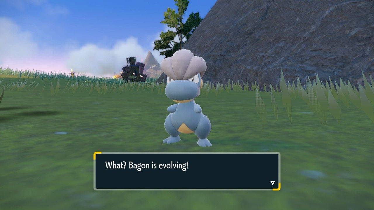 Shelgon