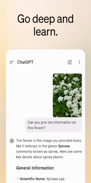 ChatGPT screenshot 3