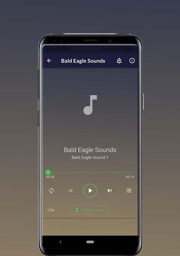 Bald Eagle Sounds Screenshot 2