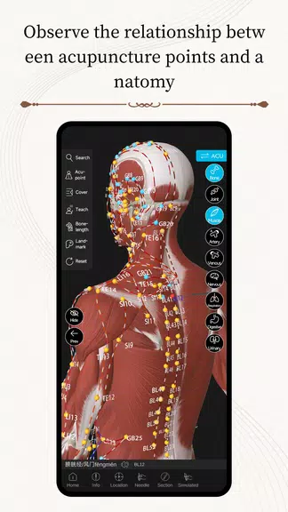 Acupuncture Master Screenshot 3
