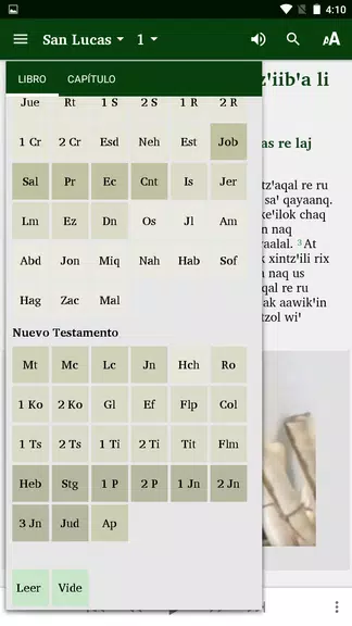 Kekchi Bible (official orth)应用截图第4张