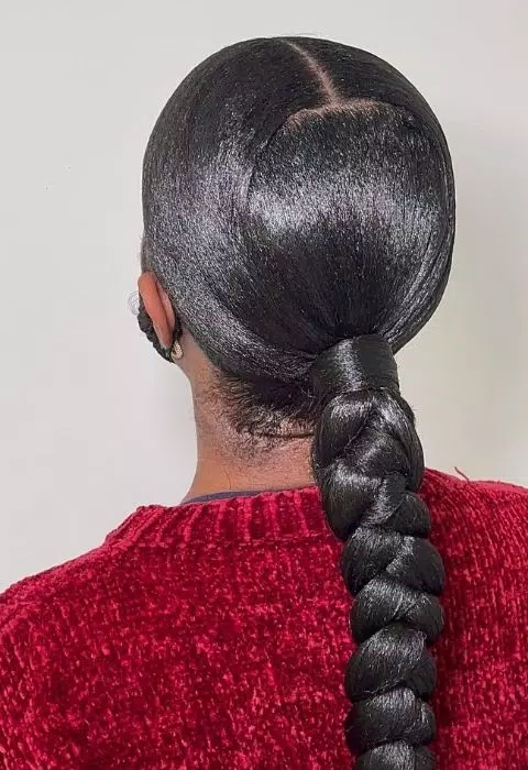 Sleek Braided Ponytail Styles ဖန်သားပြင်ဓာတ်ပုံ 3