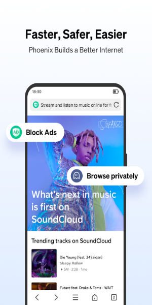 Phoenix Browser screenshot 1