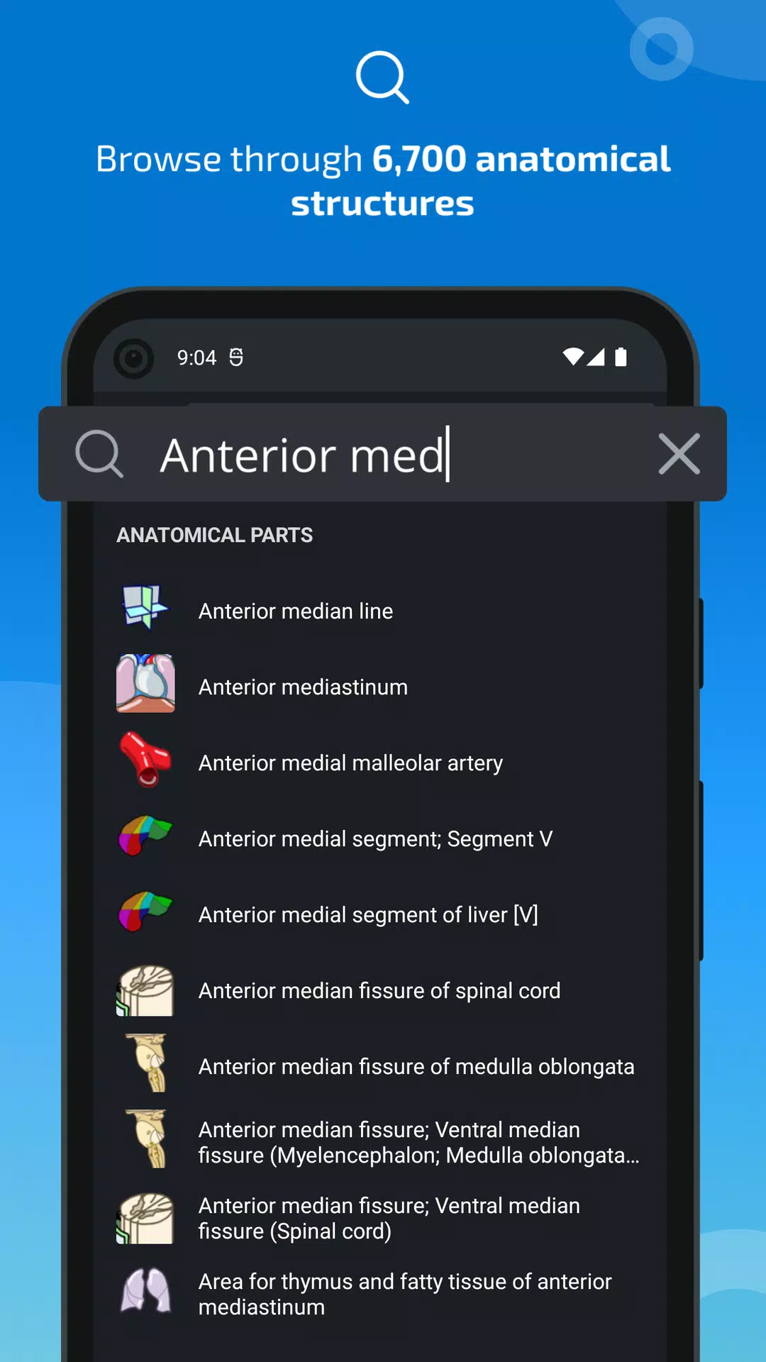 e-Anatomy Screenshot 3