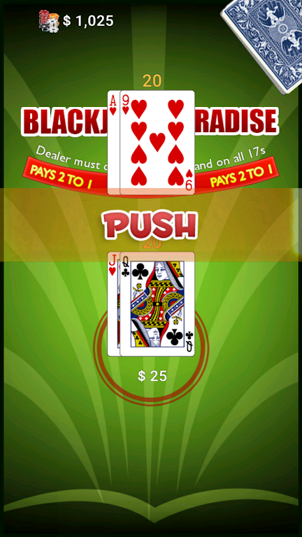 BlackJack Paradise zrzut ekranu 3