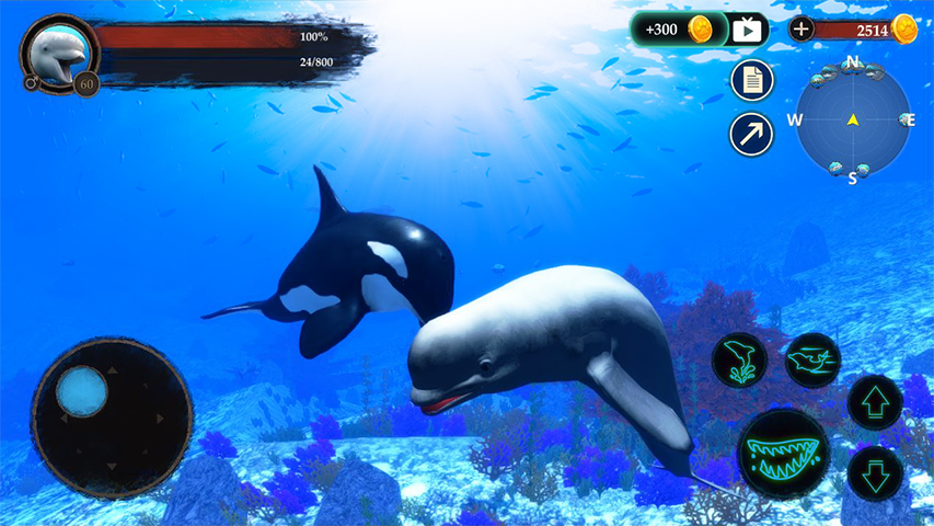 The Beluga Whale screenshot 1