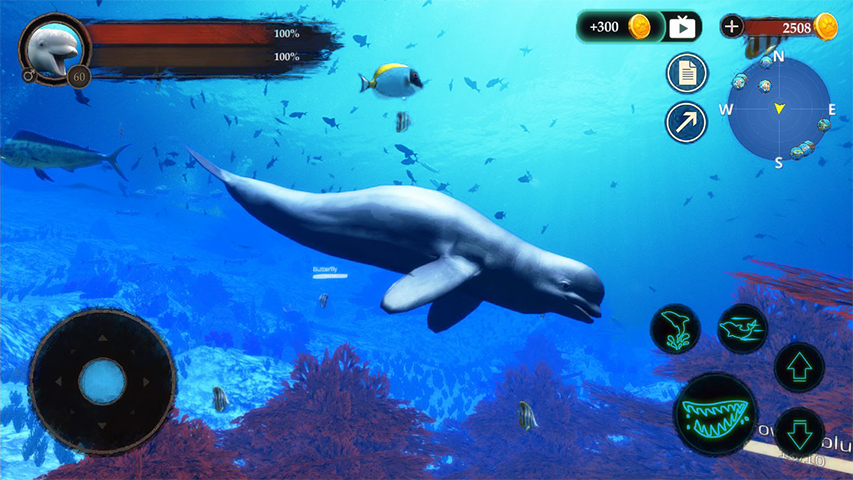 The Beluga Whale screenshot 2